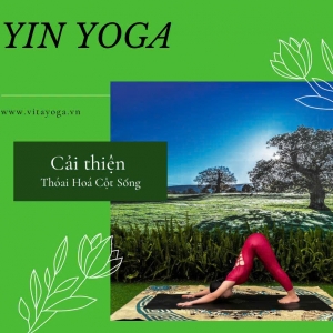 LỚP YOGA ONLINE Y2 - YIN YOGA CẢI THIỆN THOÁI HOÁ CỘT SỐNG